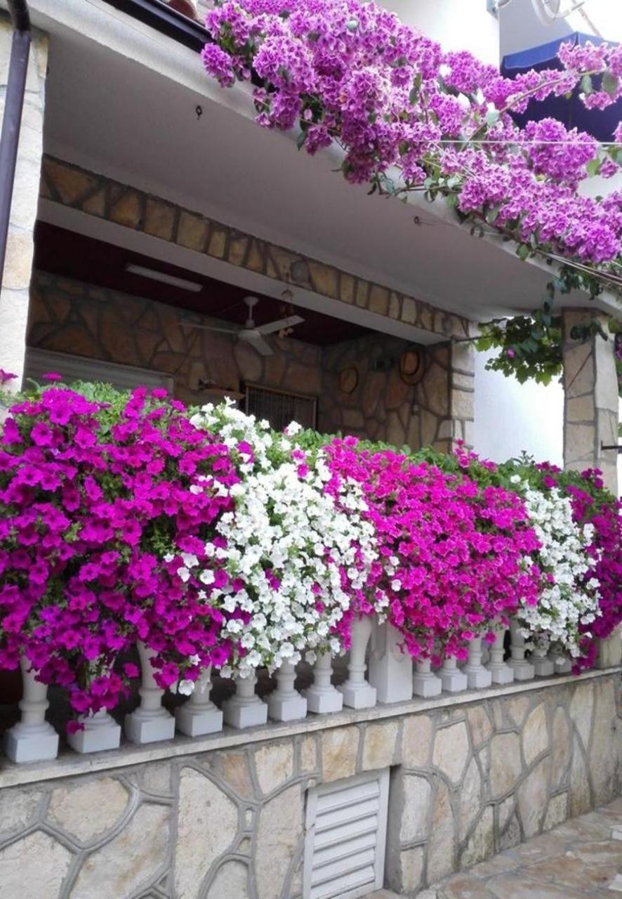 Apartments Dobri - 500M From Beach 닌 외부 사진